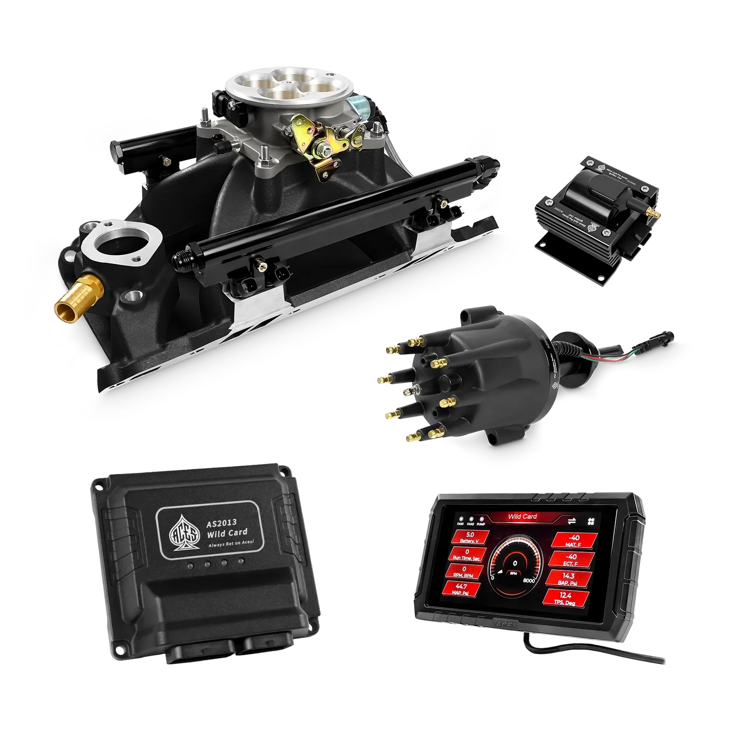 Wild Card 2 EFI - Top End Kits
