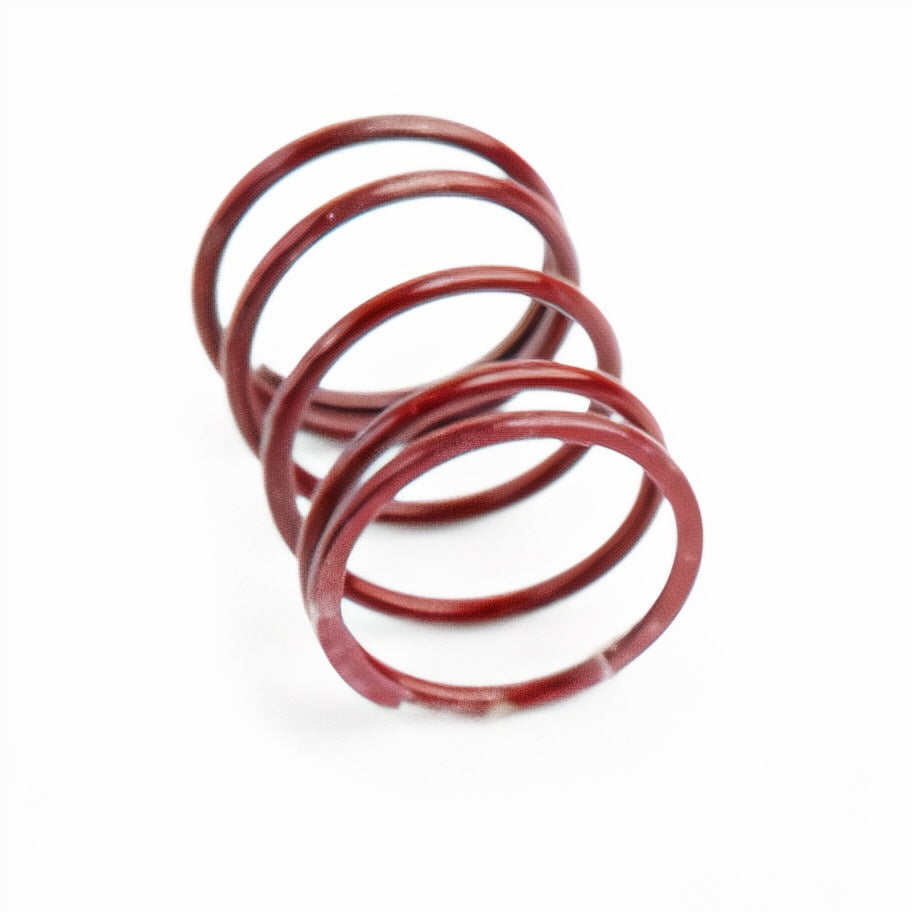 CTS Turbo Replacement Spring for DV/BOV kits CTS-BV-STDSPRING