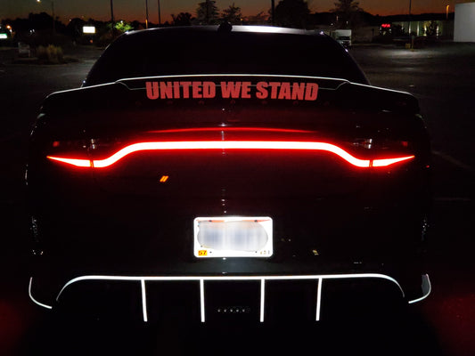 15-23 Dodge Charger Taillight Decal Design 11