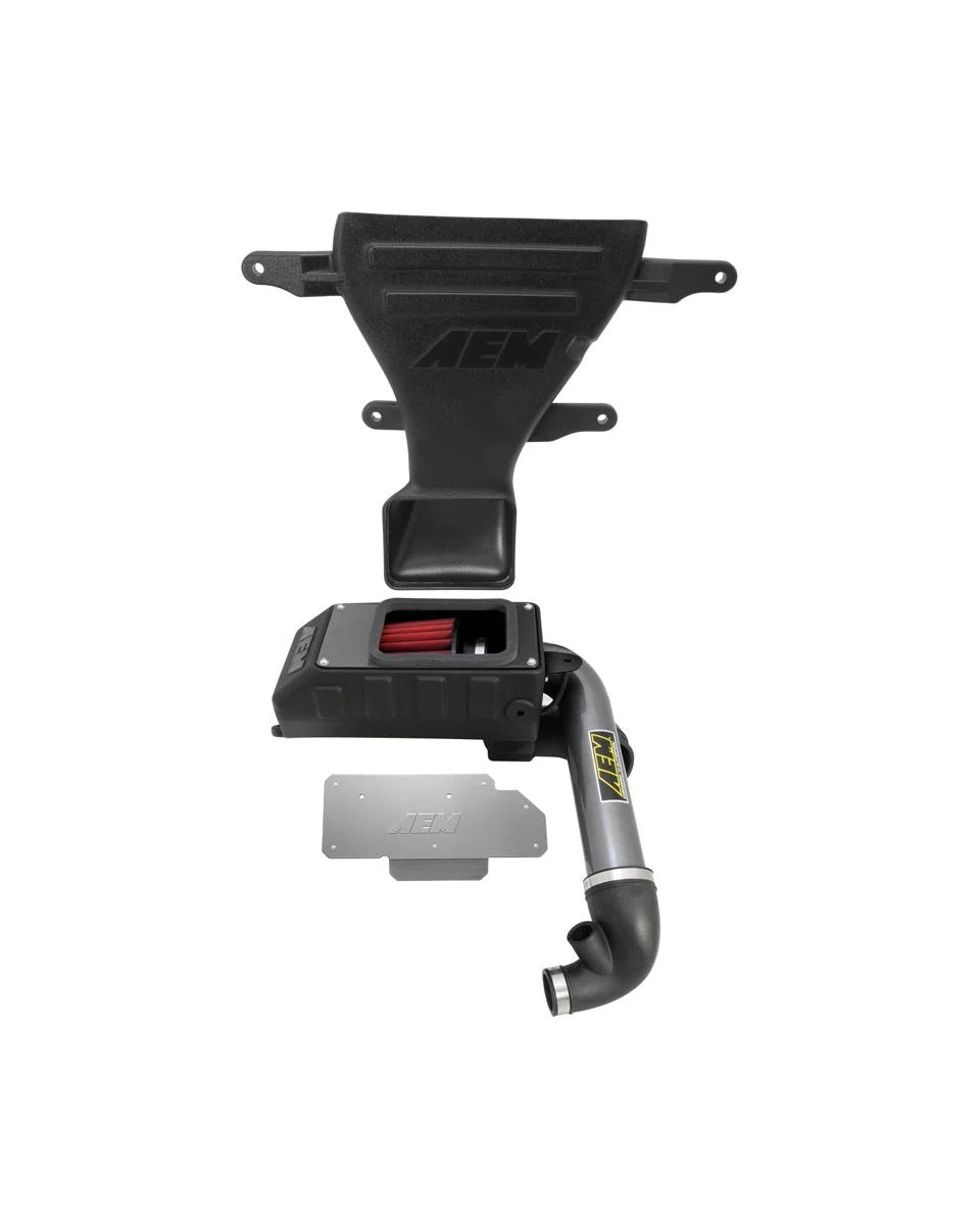 AEM-21-699C AEM INDUCTION