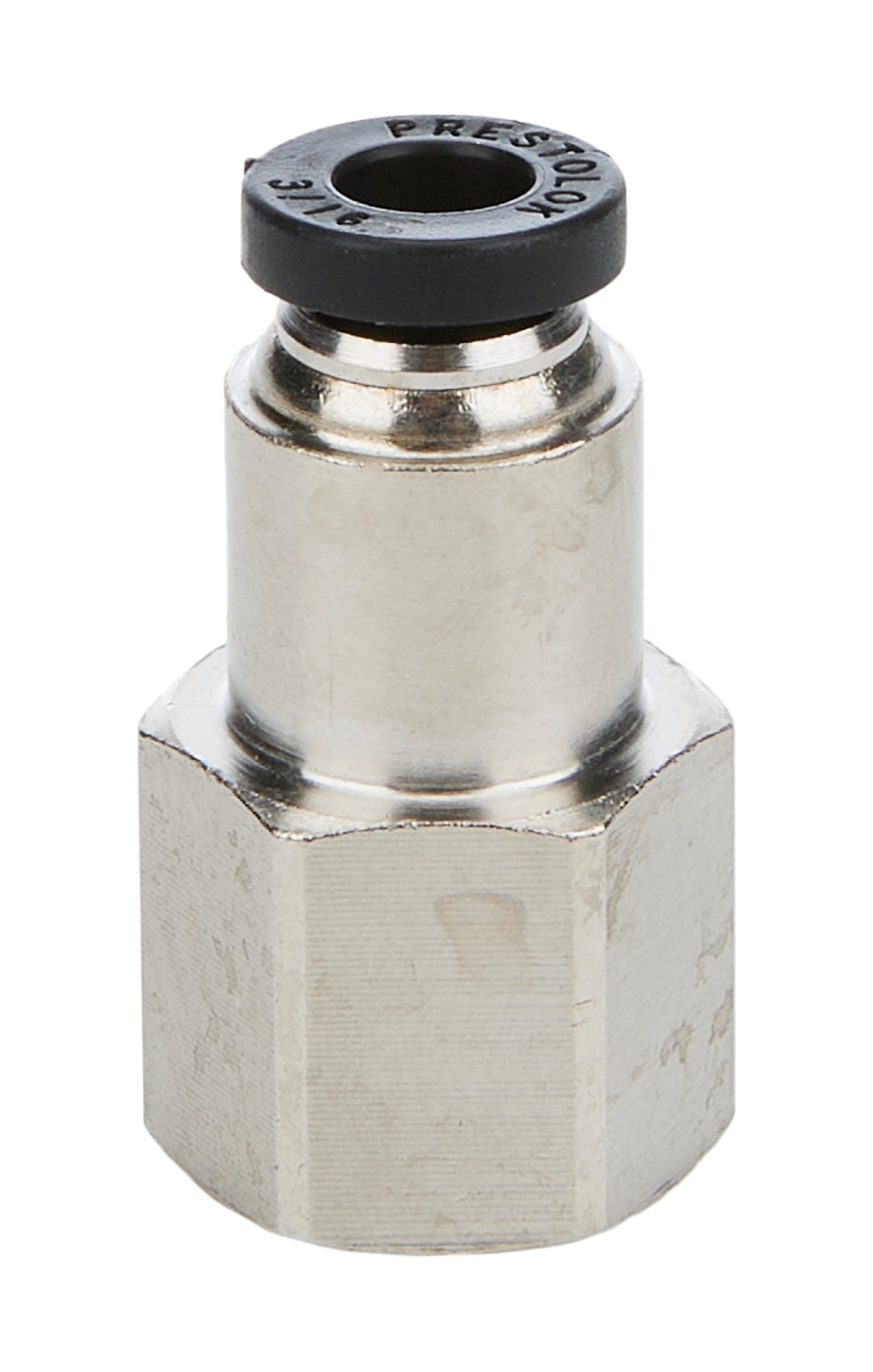 ALL48021 ALLSTAR PERFORMANCE