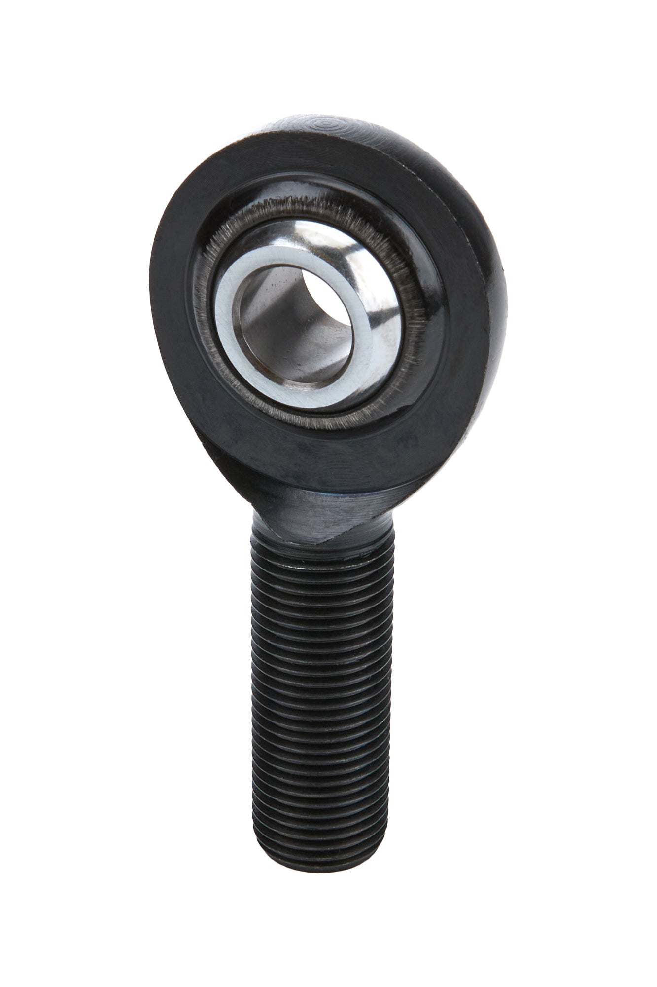 ALL58059 ALLSTAR PERFORMANCE