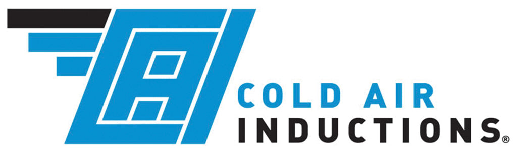 100 COLD AIR INDUCTIONS