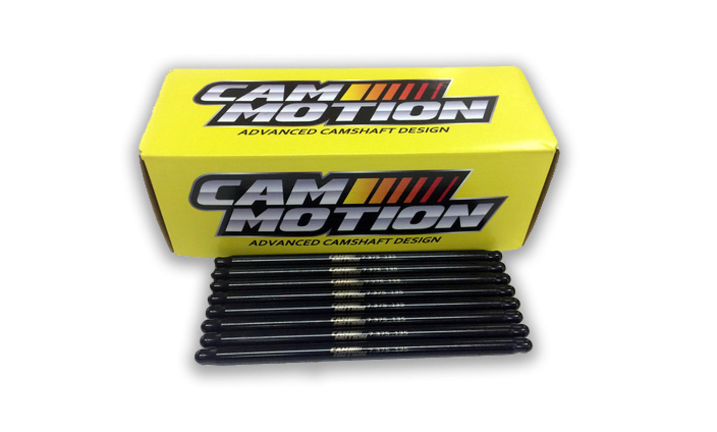PS174001204 CAM MOTION INC