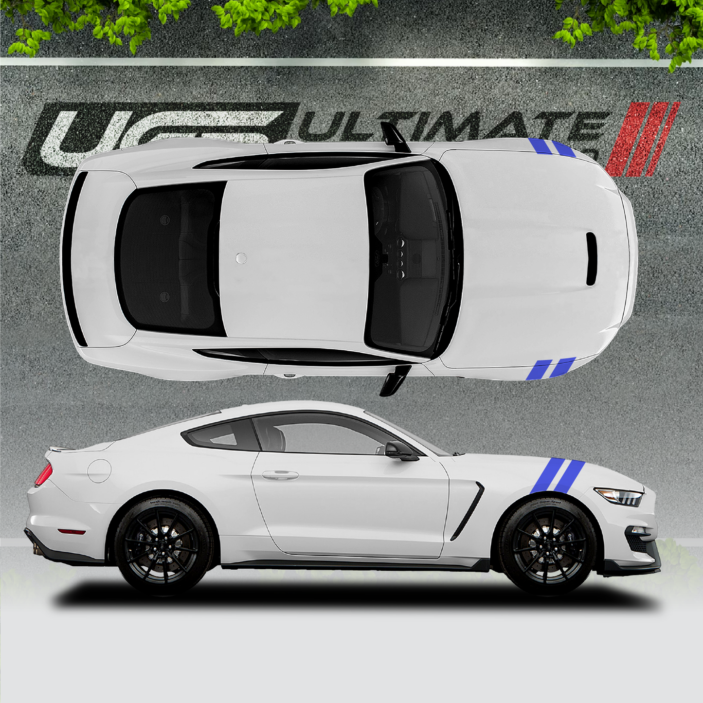 Ford Mustang Hood / Fender Graphics