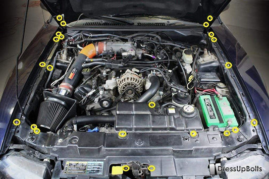 Ford Mustang (1999-2004) Titanium Engine Bay Kit