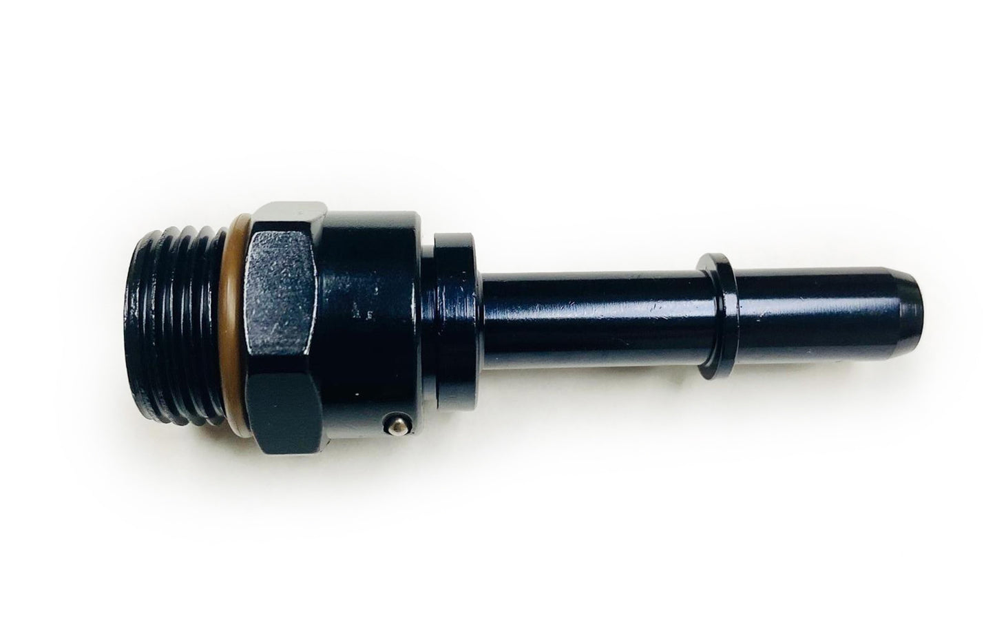 997506-BL FRAGOLA