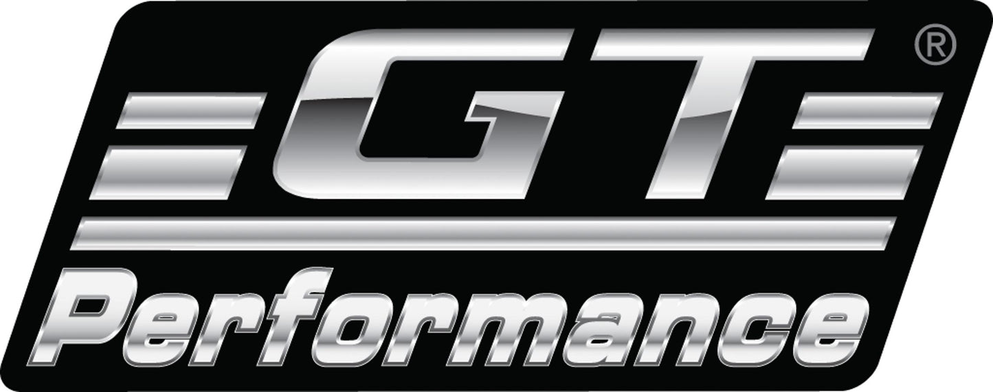 100 GT PERFORMANCE