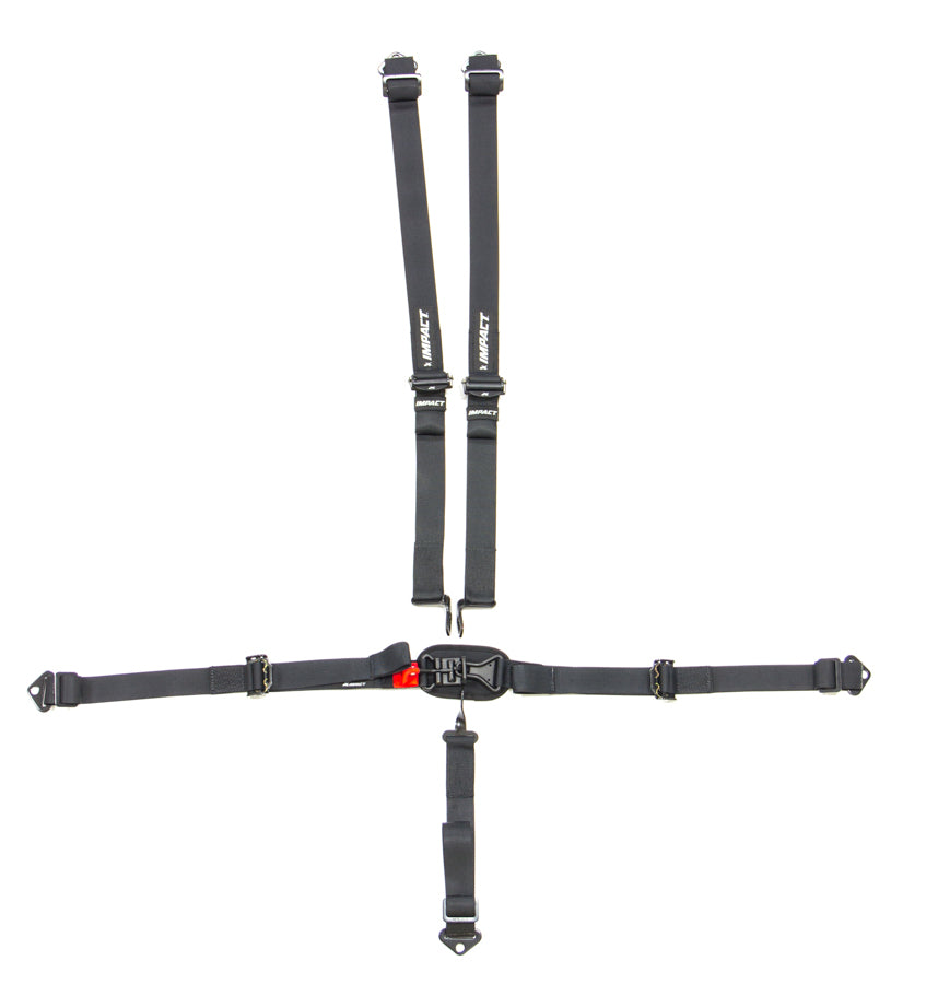 54116661 IMPACT RACING