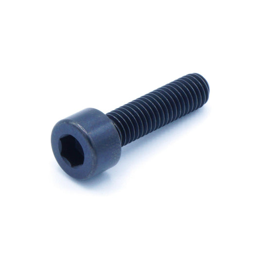 M5 x .8 x 20mm Titanium Socket Cap Bolt