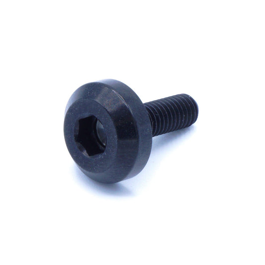 M5 x .8 x 15mm Titanium Motor Head Bolt