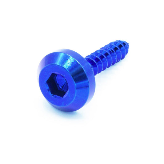 M5 x 2.0 x 25mm Titanium Motor Head Screw