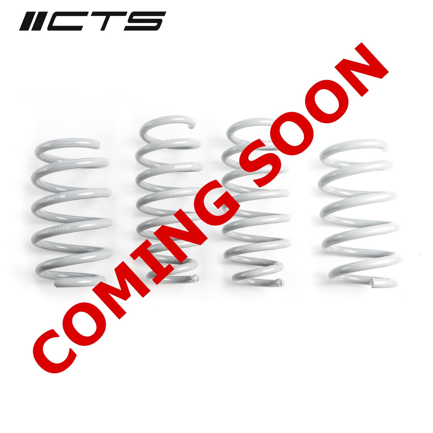 CTS Turbo Tesla Model Y Long Range Lowering Springs CTS-LS-019