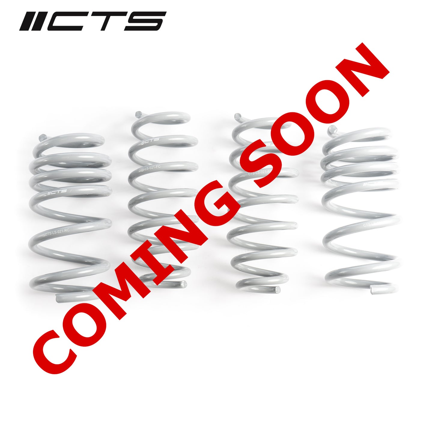 CTS Turbo Tesla Model 3 Performance AWD Lowering Springs CTS-LS-021