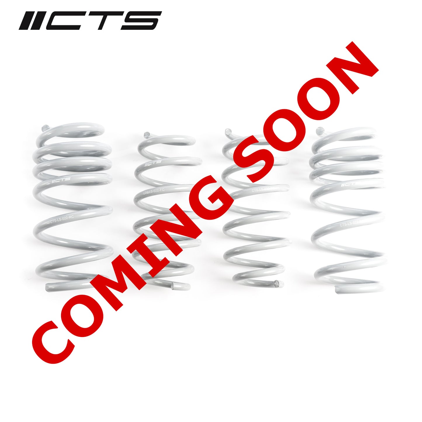 CTS Turbo Tesla Model 3 Standard Range/Standard Range Plus Lowering Springs CTS-LS-022