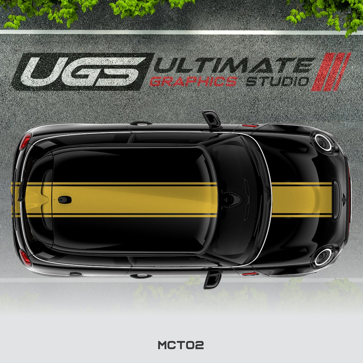 Mini Cooper Top Dual Stripe 1 Color