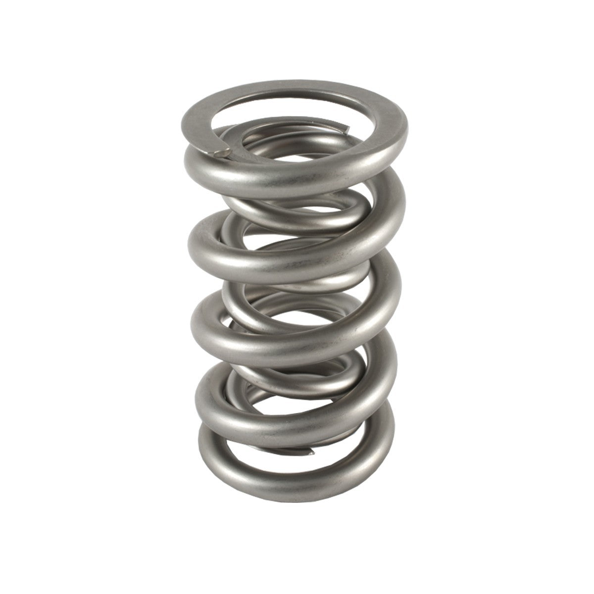 PAC-1335-1 PAC RACING SPRINGS