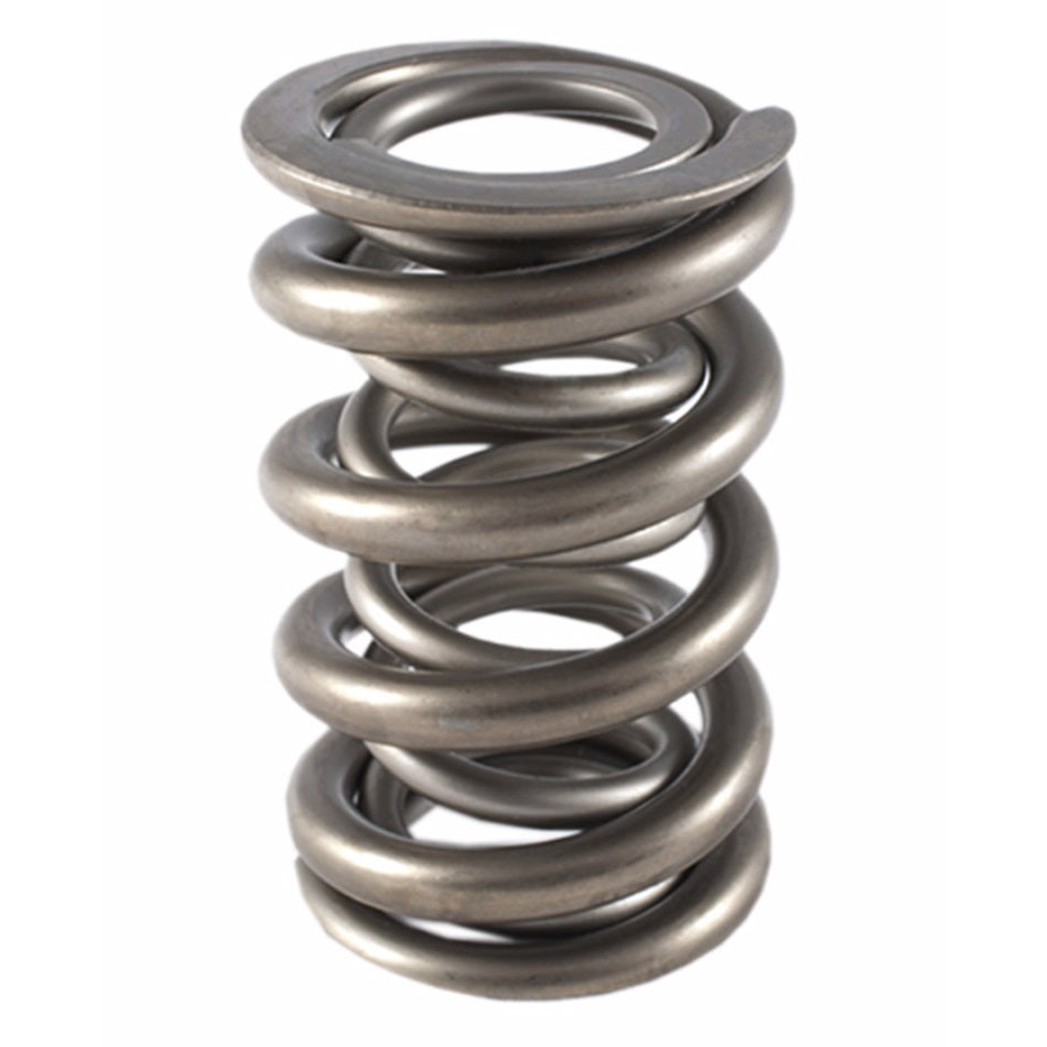 PAC-1355-1 PAC RACING SPRINGS