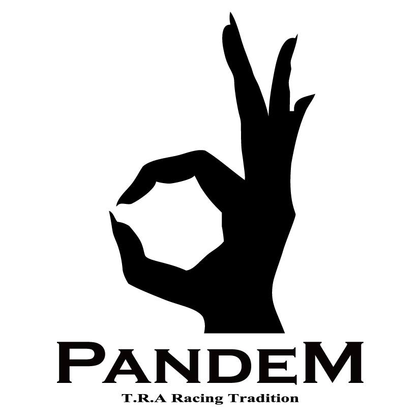 TRA-KYOTO PANDEM RX8 STAY BAR (option) 17040412