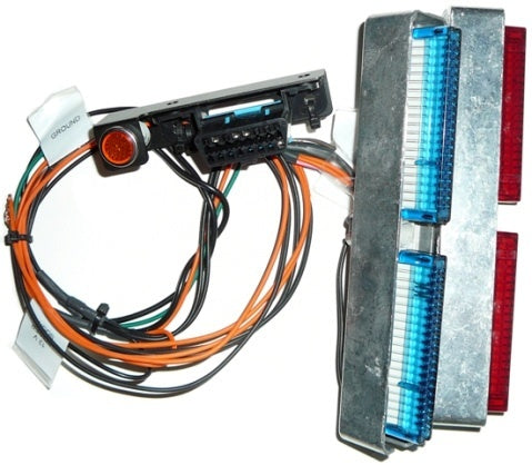 60550 PAINLESS WIRING