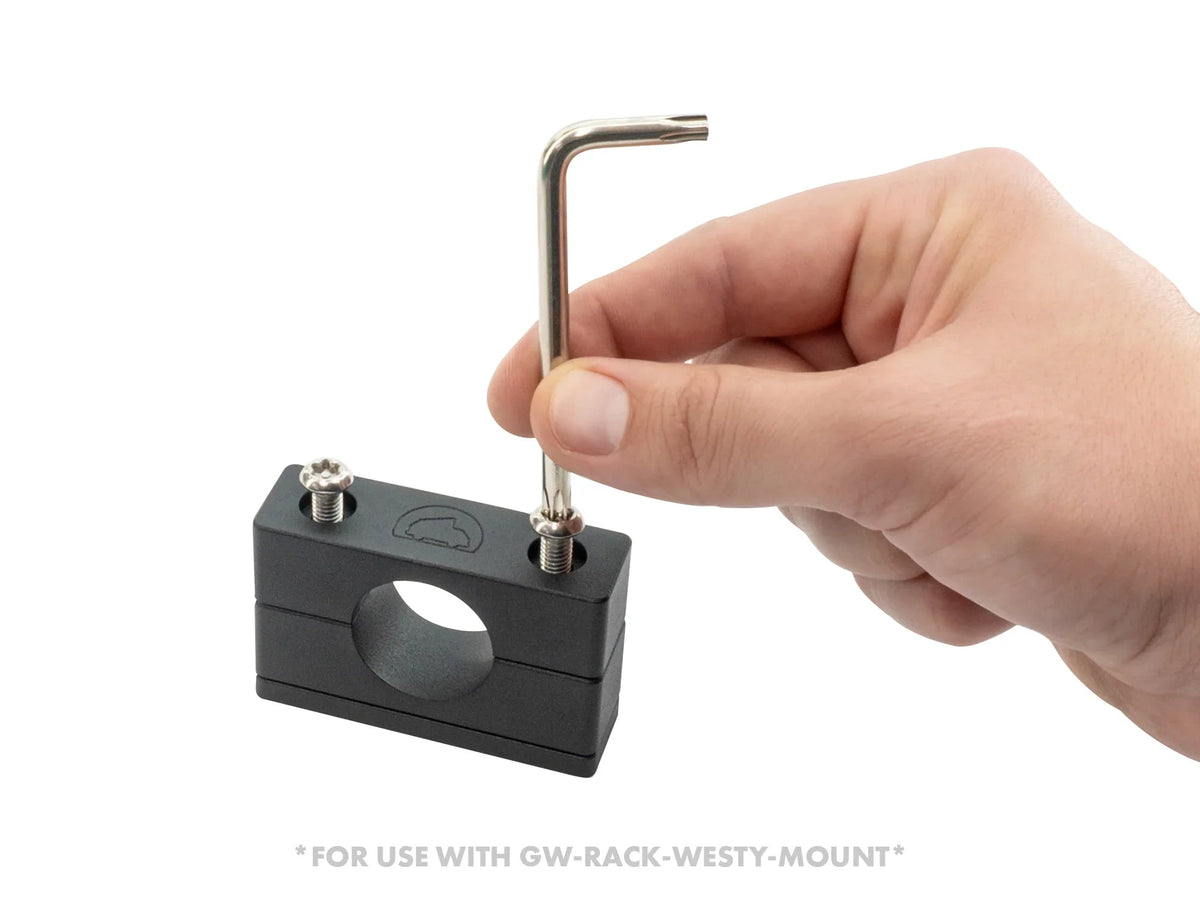 Torx Wrench - Tamper Resistant (T30)