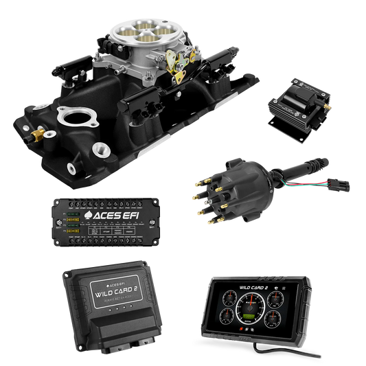 Wild Card 2 EFI - Top End Kits
