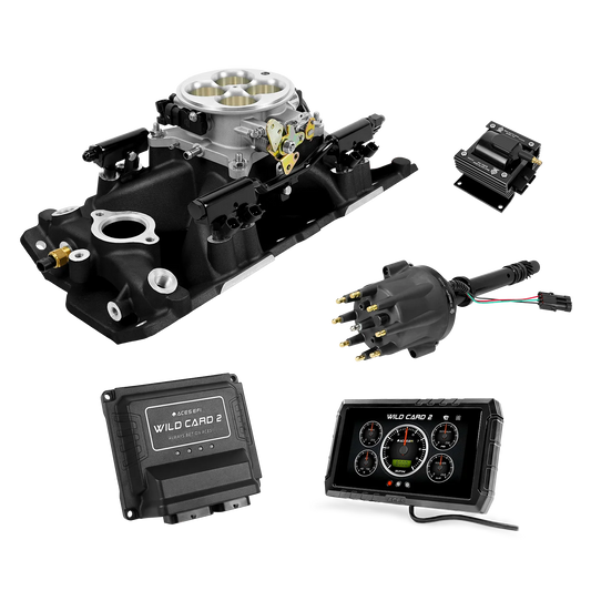 Wild Card 2 EFI - Top End Kits