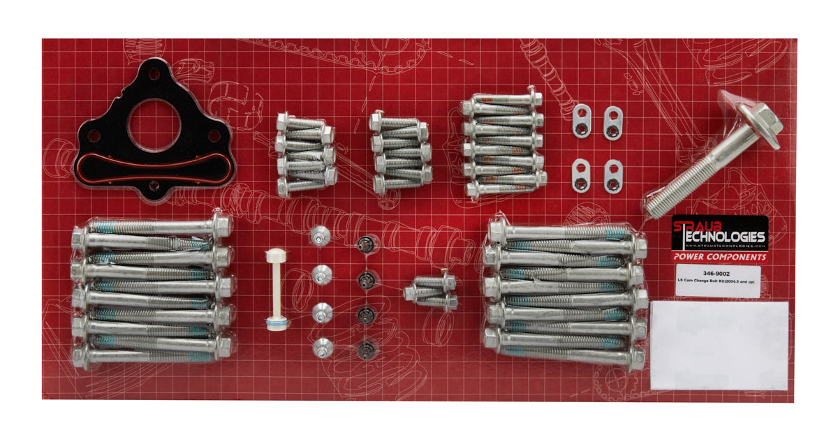 346-9002 STRAUB TECHNOLOGIES INC.