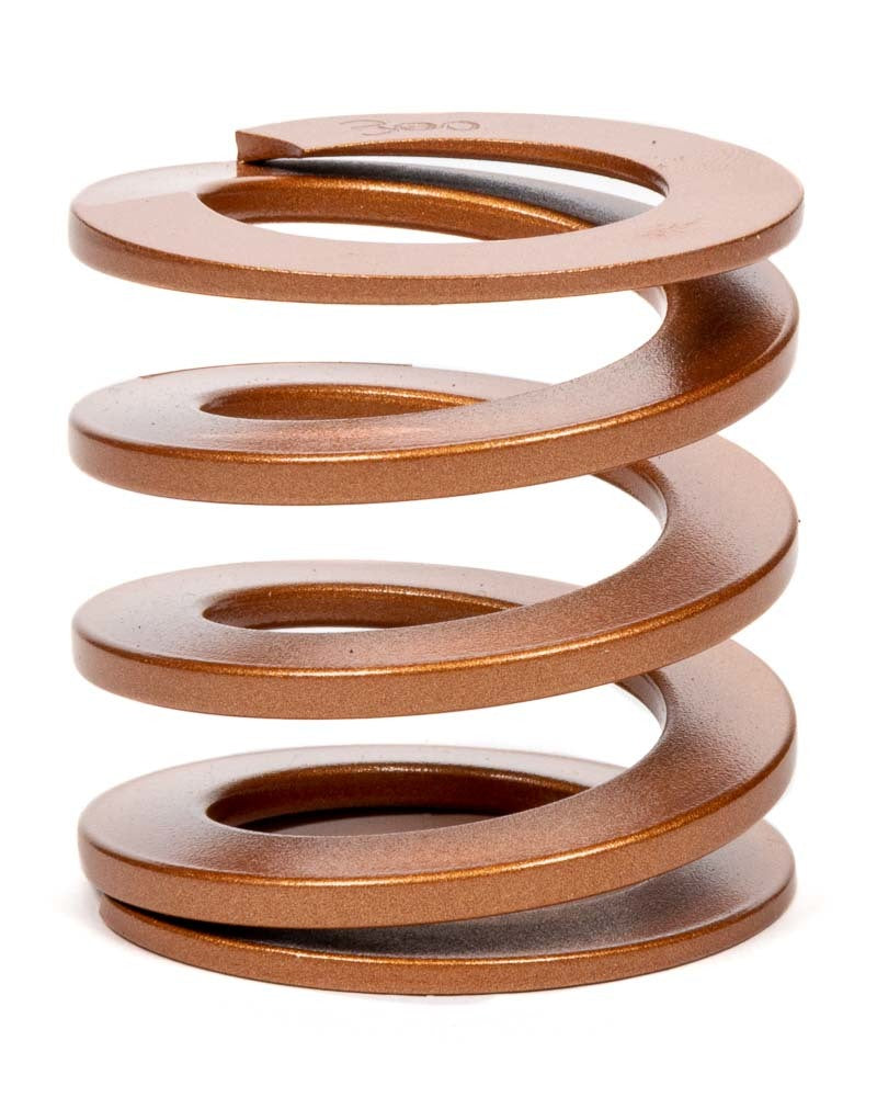 SBS0300 S SWIFT SPRINGS