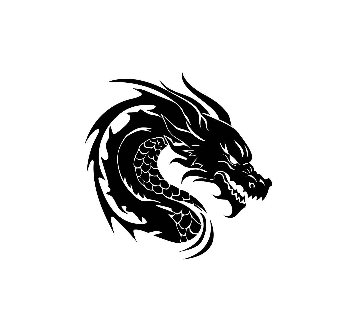 Dragon Hood Graphic 2