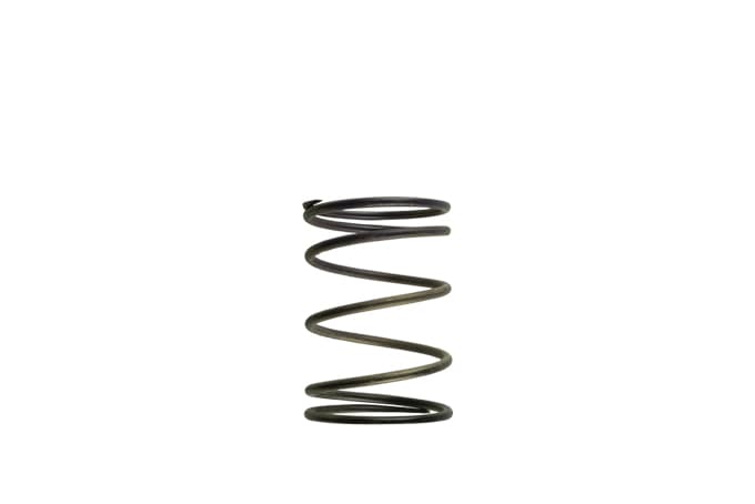 Turbosmart Turbocharger Wastegate Spring TS-0502-2003