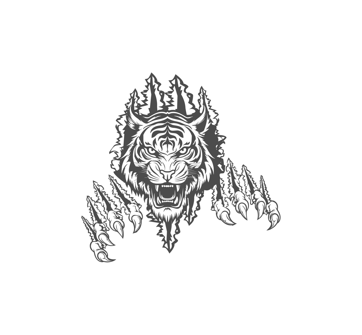Tiger Claw Hood Graphic