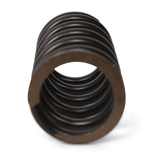 BLOX Racing Valve Springs - F-Series DOHC VTEC