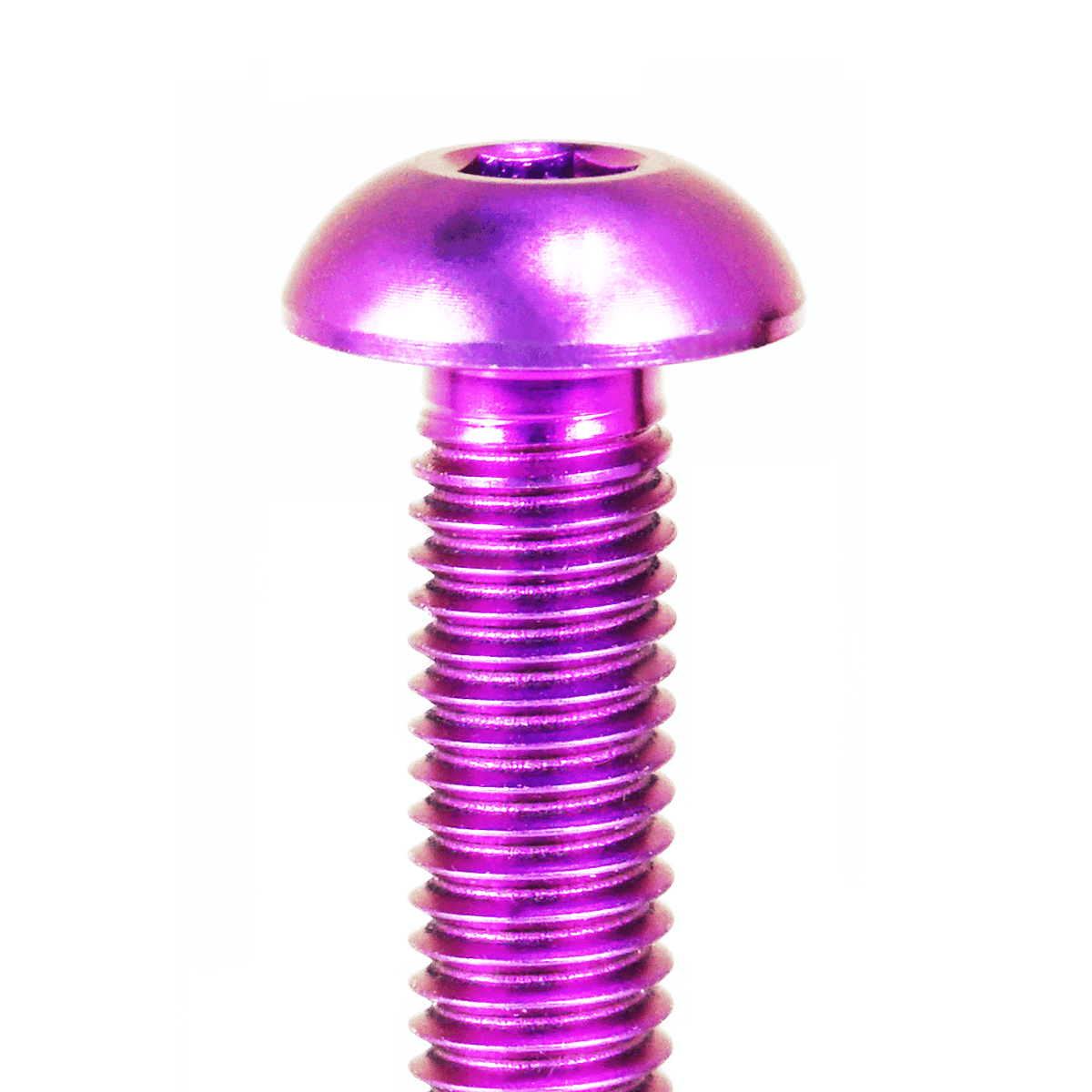 ZSPEC Button-Head Body Kit Fastener, M5x20mm w/ Rivet Nut, Titanium, Per Each