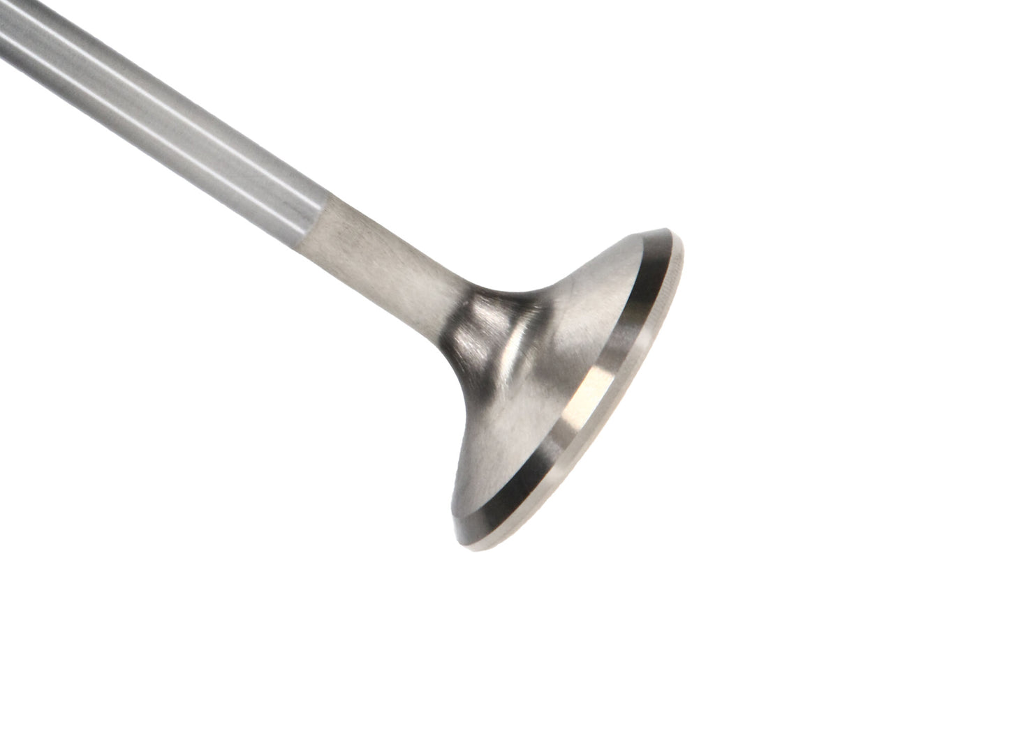 Manley Valve - Exhaust Valve-R/M VQ35DE(T) 31.5mm 11149-12