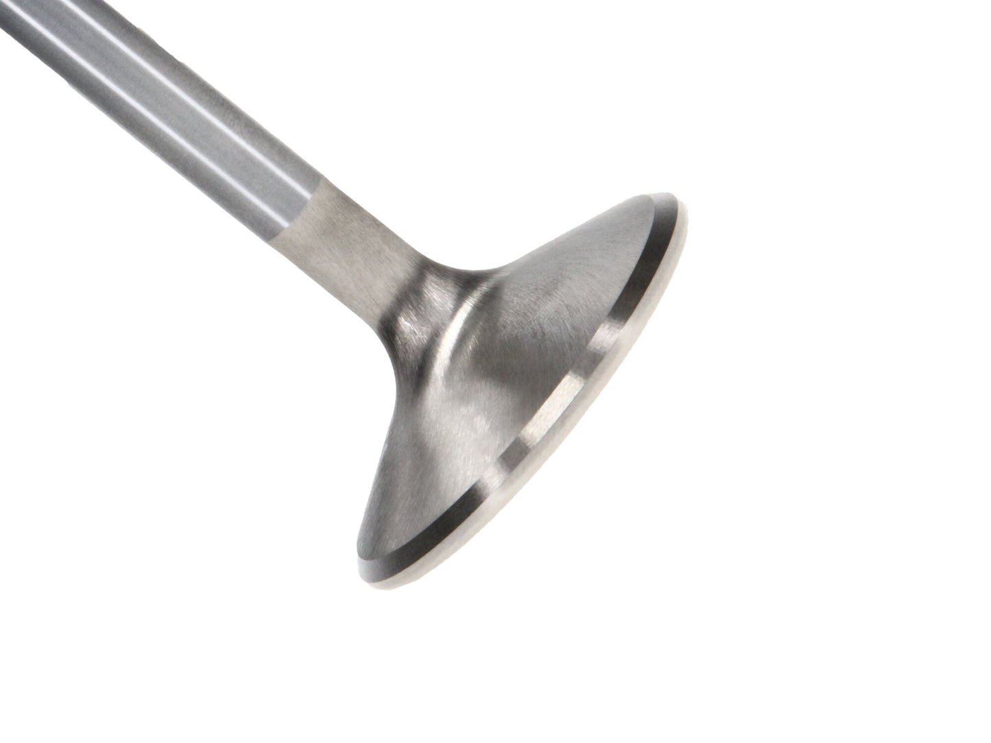 Manley Valve - Exhaust Valve-PONT R/M 1.660 11353-8