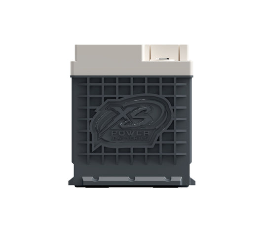 XS Power Batteries 12V AGM D Series Batteries - M6 Terminal Bolts Included 4000 Max Amps D4900