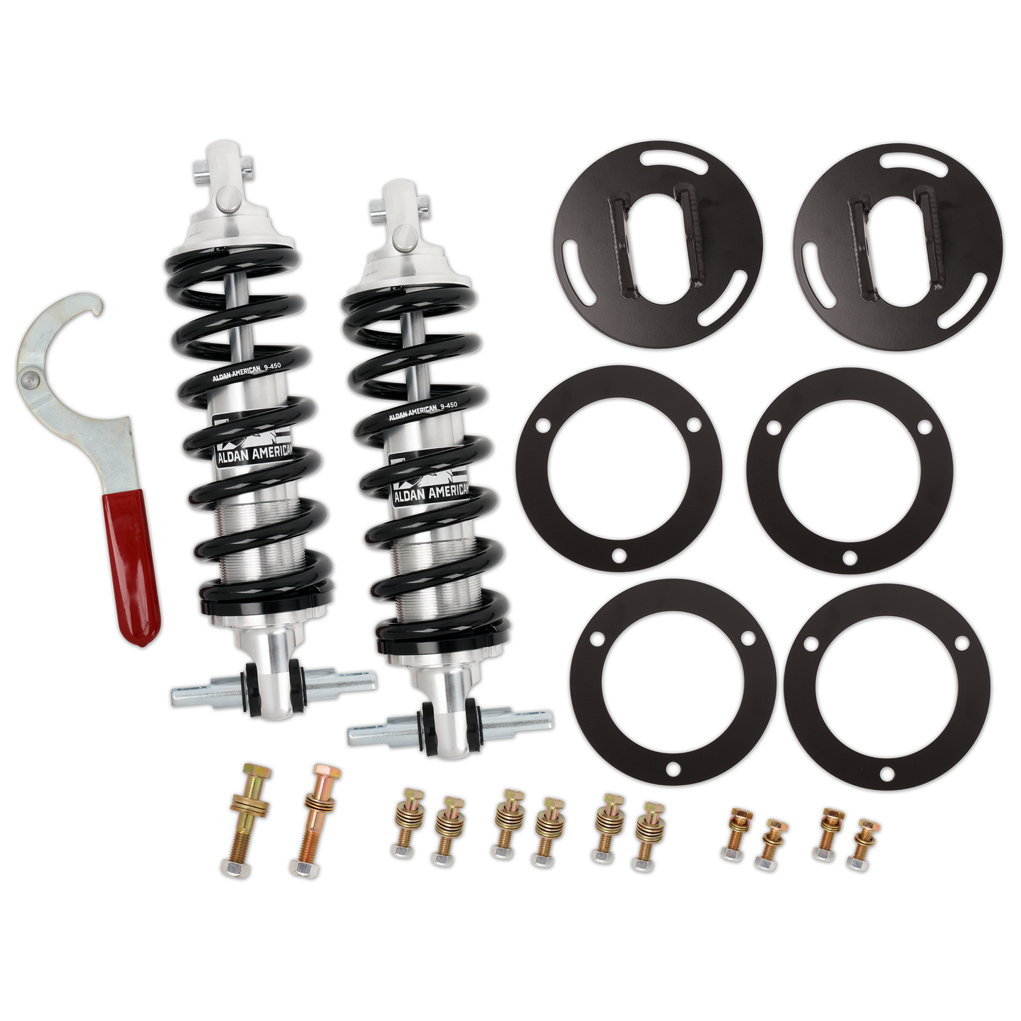 Aldan American Coil-Over Kit, Ford. Front, Pair. Single Adj. BB 300127