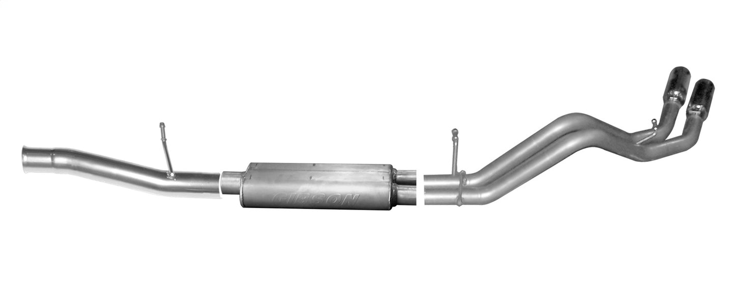 GIBSON EXHAUST Dual Sport Exhaust System 5663