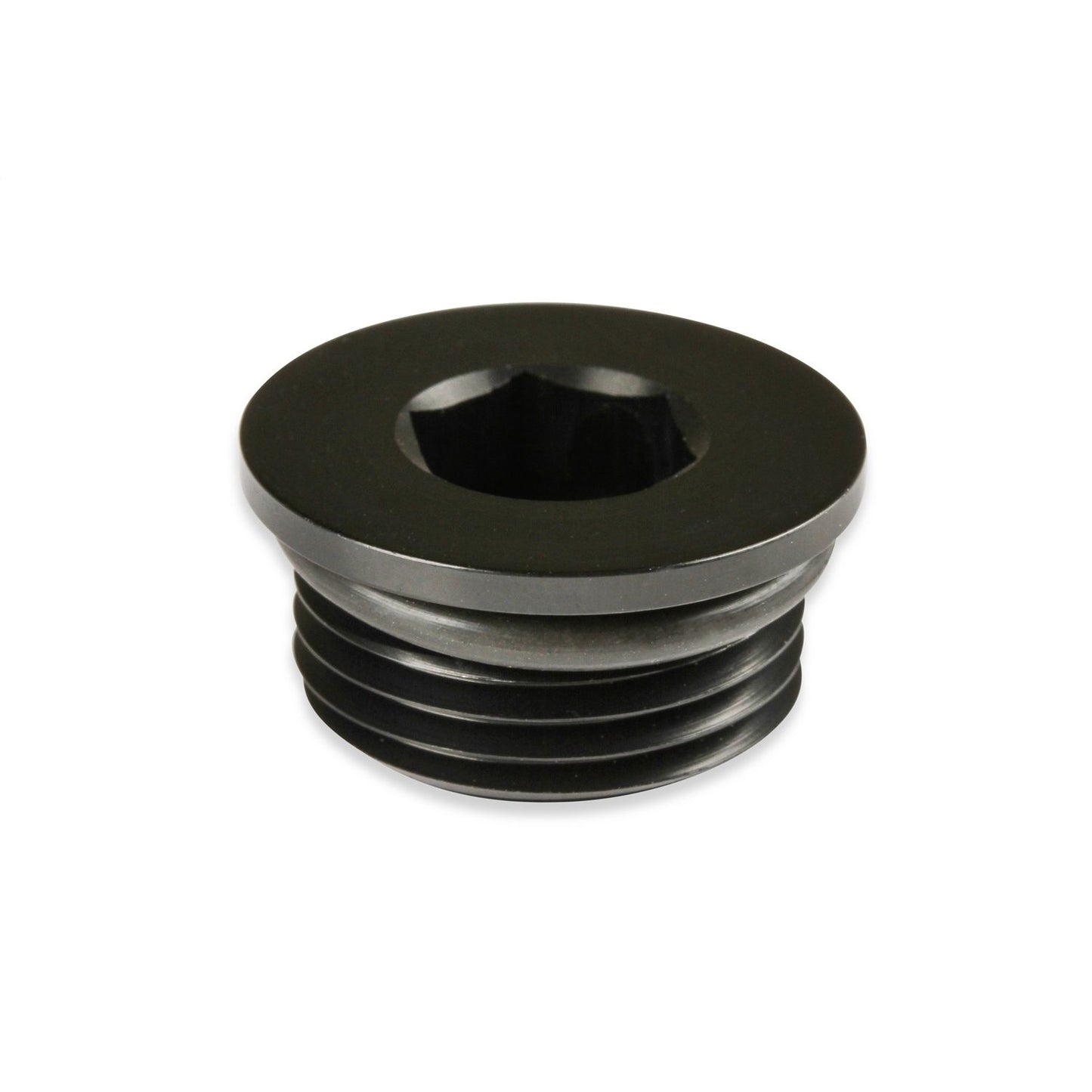 Earls Performance Aluminum AN O-Ring Port Plug AT981310ERL