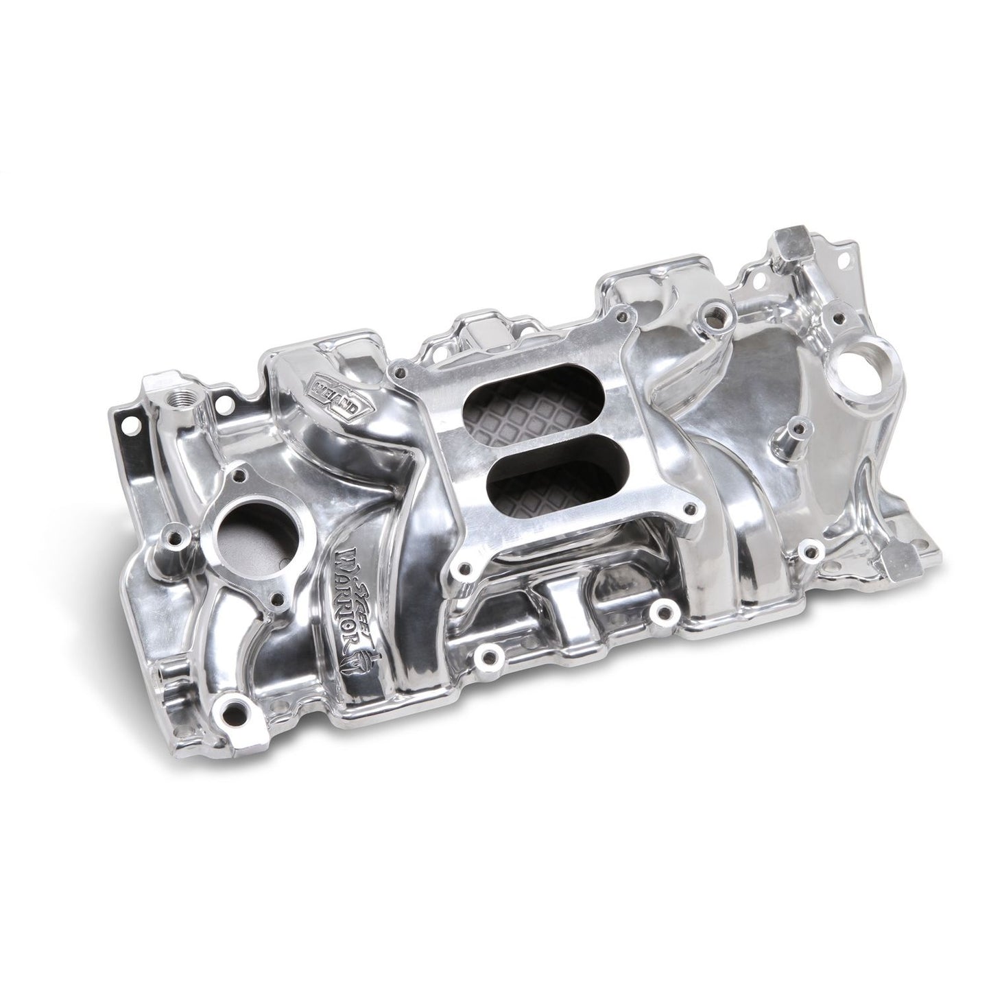 Street Warrior™ Intake Manifold