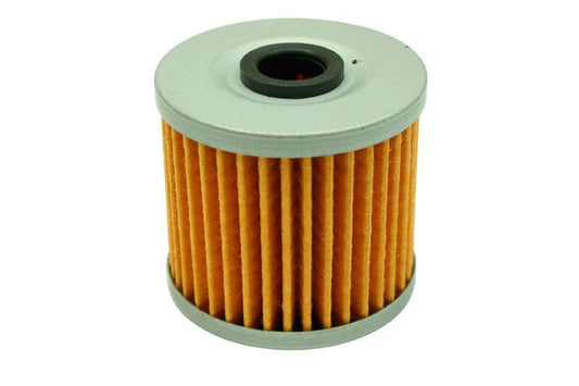 AEM High Volume Fuel Filter Replacement Element for 25-200BK 25-203