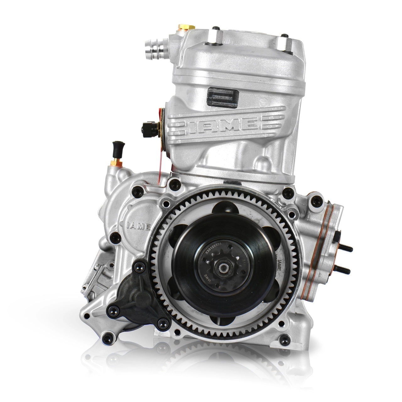 IAME X30 2021+ 125cc TaG Engine CAT-X30