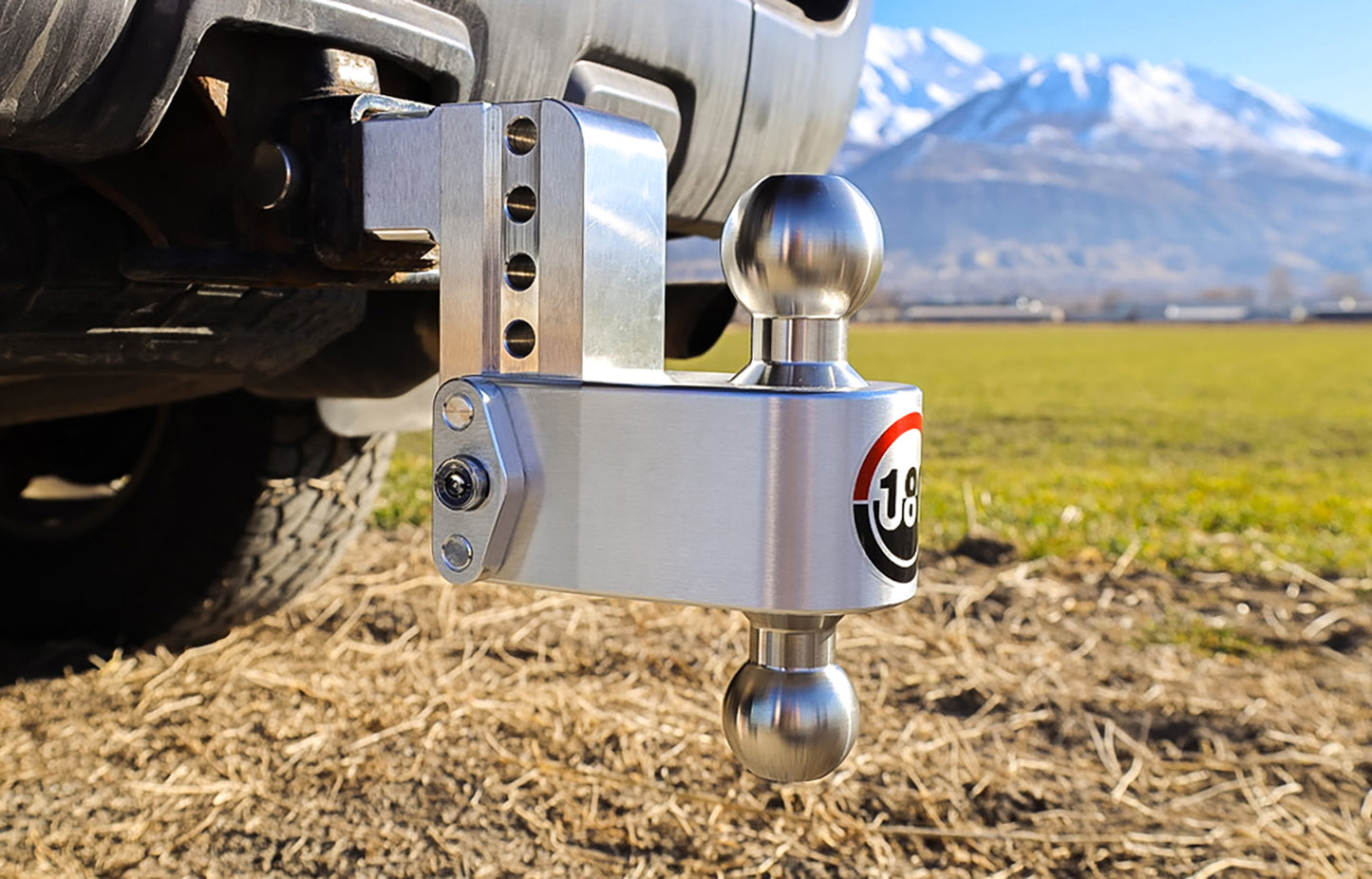 Weigh Safe Turnover Ball 4" Drop Hitch With 2" Shank LTB4-2