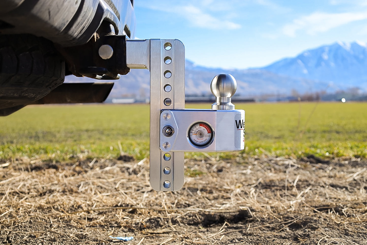 Weigh Safe 8" Drop Hitch With 2" Shank WS8-2