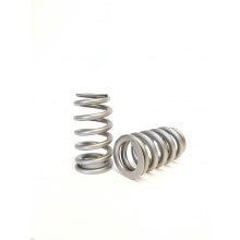 Kelford Valve Springs KVS252