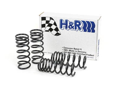 H&R Special Springs Race Spring Kit 29487-1
