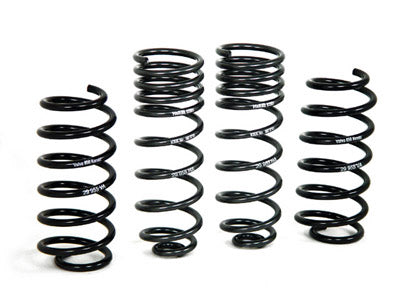 H&R Special Springs Sport Spring Kit 29955