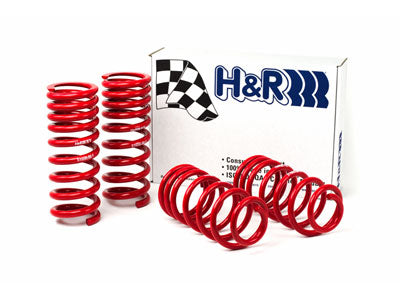 H&R Special Springs Race Spring Kit 51650-88