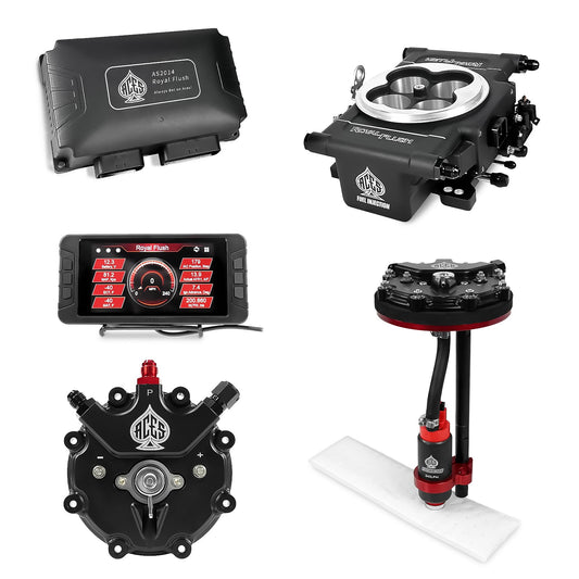 Royal Flush EFI/CDI With Fuel Pump Modules